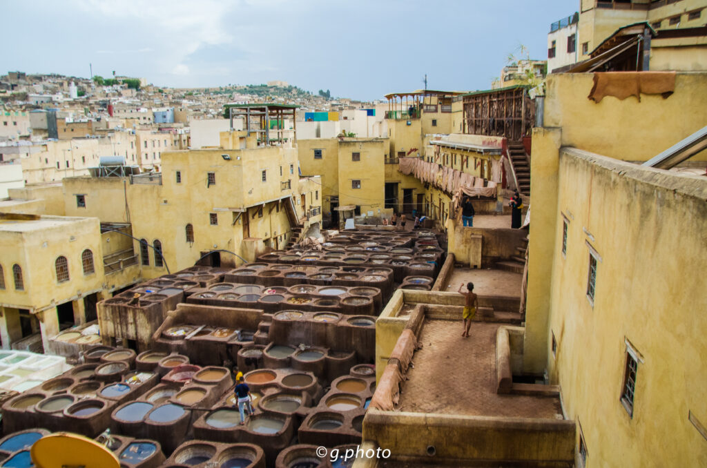 Città imperiali del Marocco: la conceria a Fes