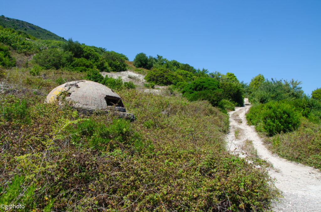cosa vedere in Albania: isola Sazan