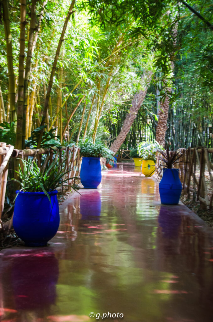 Città imperiali del Marocco: i Giardini Majorelle a Marrakech