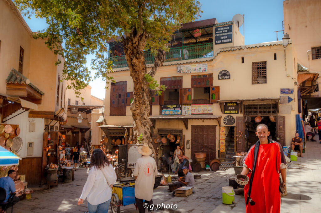 Città imperiali del Marocco: Fes