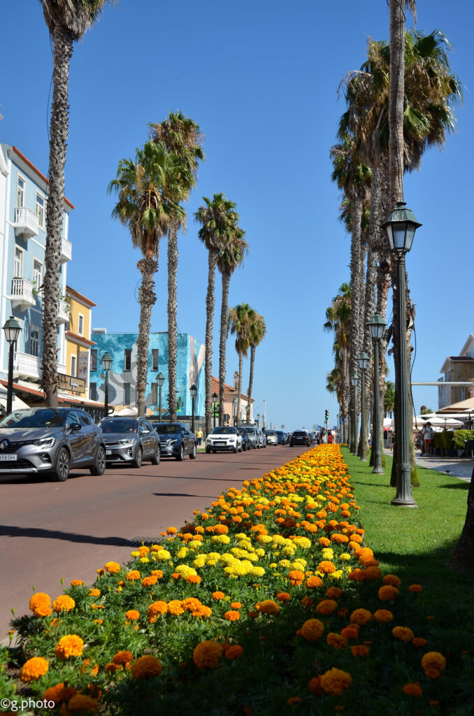 10 giorni in Portogallo: Cascais