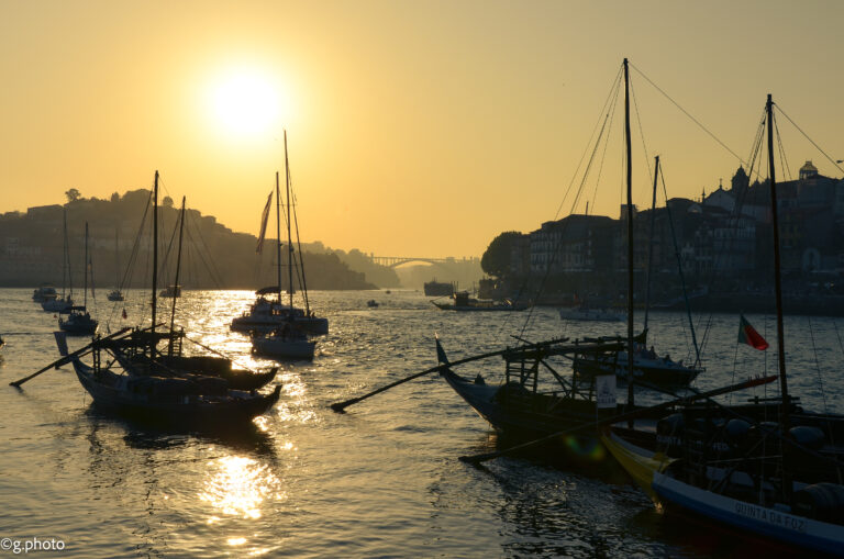 7 giorni nel Portogallo del Nord: Porto, il Douro e le città che non ti aspetti