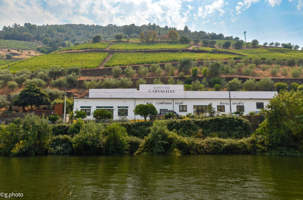 7 giorni portogallo nord: Douro