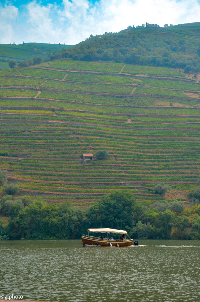 7 giorni portogallo nord: Douro