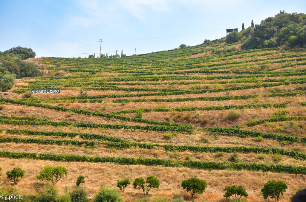 7 giorni portogallo nord: Douro