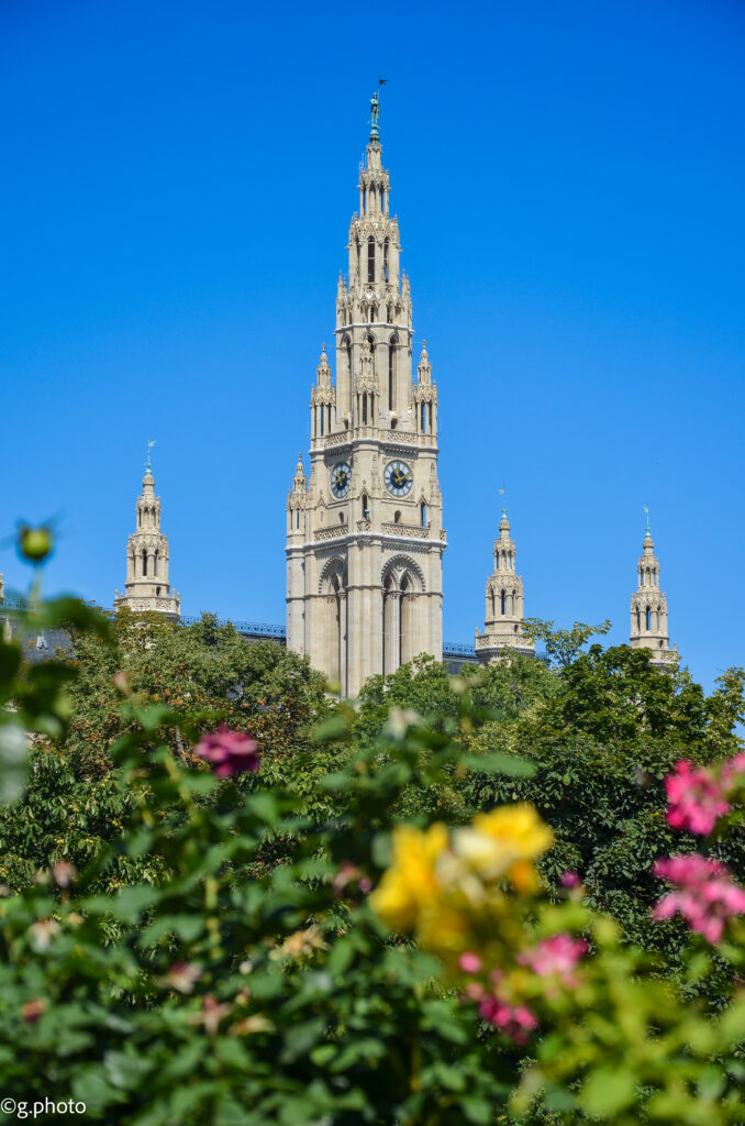 weekend a Vienna: municipio di vienna