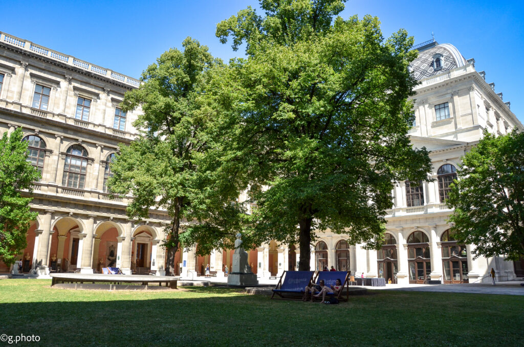 weekend a Vienna: università di Vienna