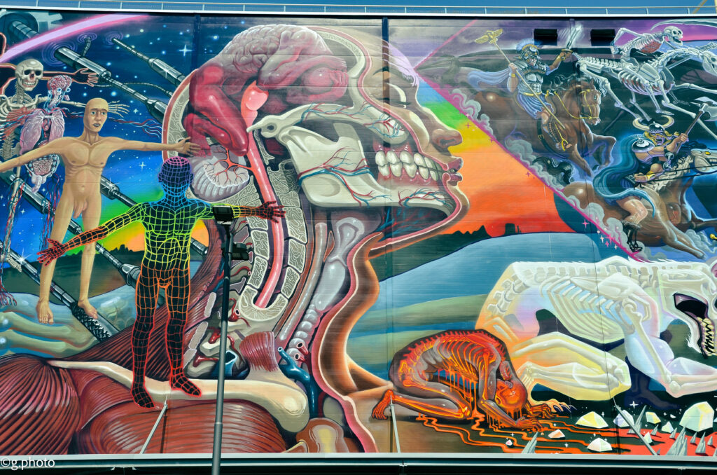 8 giorni in Austria: Linz, Mural Harbor Gallery