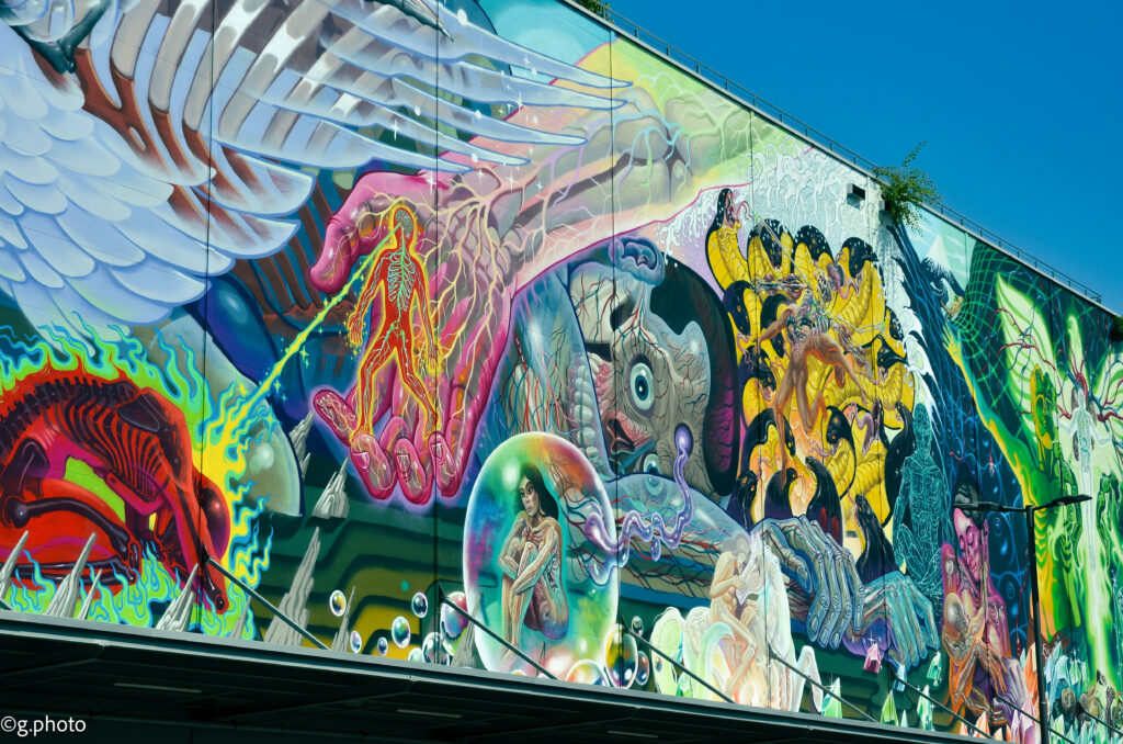 8 giorni in Austria: Linz, Mural Harbor Gallery