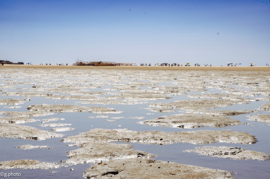spiaggia di chia con stagno